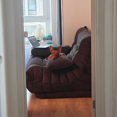 Мягкий бескаркасный диван для максимального расслабления: отзыв с фото. 5/5